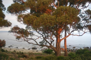 Beachside Taroona with Spa